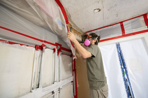 Mold Removal for HVAC Installations in Three Forks, MT