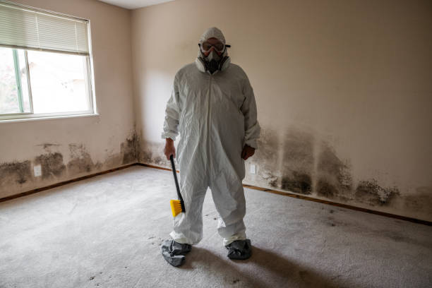 Best Industrial Mold Remediation  in Three Forks, MT